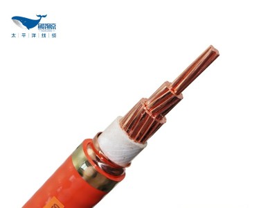 电线电缆厂家浅谈柔性电缆btly和普通软电缆rvv的区别